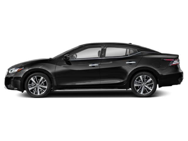 6 thumbnail image of  2019 Nissan Maxima SL