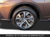 11 thumbnail image of  2020 Subaru Outback Limited