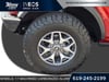 10 thumbnail image of  2024 Ford Bronco Badlands