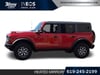 4 thumbnail image of  2024 Ford Bronco Badlands
