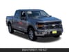 2 thumbnail image of  2024 Ford F-150 XLT