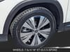 11 imagen en miniatura de 2024 Mercedes-Benz EQB EQB 250+