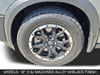11 thumbnail image of  2024 Nissan Pathfinder Rock Creek