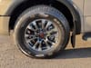 11 thumbnail image of  2024 Nissan Titan PRO-4X