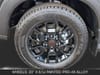 11 thumbnail image of  2026 Nissan Armada PRO-4X