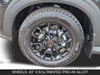 11 thumbnail image of  2026 Nissan Armada PRO-4X