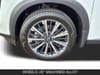 11 thumbnail image of  2026 Nissan Pathfinder Platinum