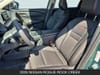 14 imagen en miniatura de 2026 Nissan Rogue Rock Creek