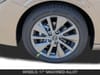 11 thumbnail image of  2026 Nissan Sentra SL