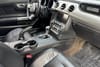 17 thumbnail image of  2019 Ford Mustang