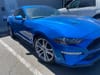 3 thumbnail image of  2021 Ford Mustang EcoBoost Premium