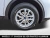 31 thumbnail image of  2022 Ford Escape SE