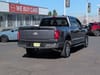 7 thumbnail image of  2024 Ford F-150 XLT