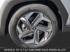 11 thumbnail image of  2024 Hyundai Tucson Limited