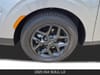 8 thumbnail image of  2025 Kia Soul LX