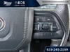 15 thumbnail image of  2025 Toyota Tacoma SR