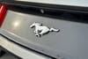 6 thumbnail image of  2017 Ford Mustang EcoBoost