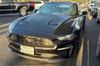 2 thumbnail image of  2019 Ford Mustang EcoBoost