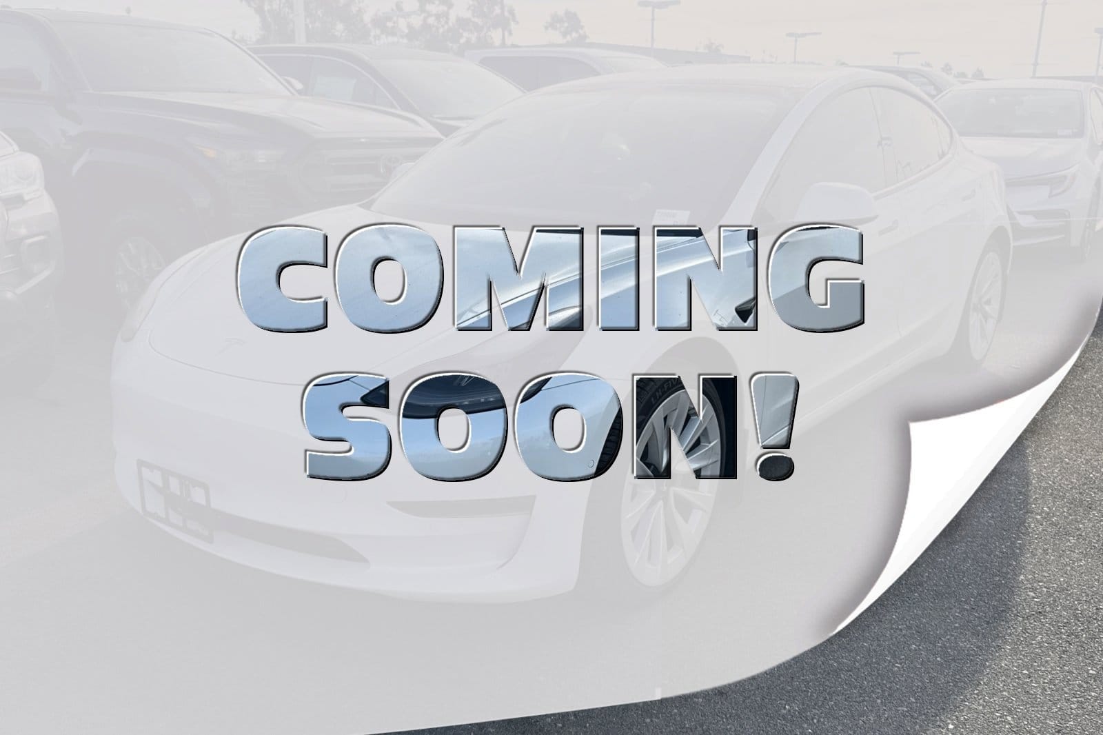 2021 Tesla Model 3 Base's photo