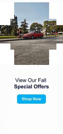 Special Offer