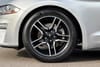 27 thumbnail image of  2019 Ford Mustang