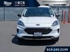 3 thumbnail image of  2022 Ford Escape SE