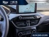 26 thumbnail image of  2022 Ford Escape SE