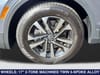 11 thumbnail image of  2023 Volkswagen Tiguan 2.0T S