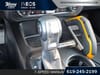 19 thumbnail image of  2024 Ford Bronco Badlands