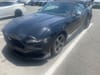 1 thumbnail image of  2024 Ford Mustang EcoBoost Premium