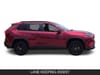 6 thumbnail image of  2025 Toyota RAV4 XLE
