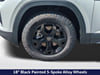 11 thumbnail image of  2026 Volkswagen Atlas Peak Edition