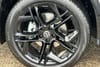 24 thumbnail image of  2026 Volkswagen Tiguan 2.0T SE R-Line Black