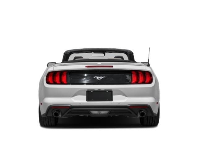 5 thumbnail image of  2022 Ford Mustang EcoBoost