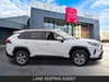 6 thumbnail image of  2024 Toyota RAV4 XLE