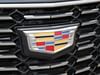 10 thumbnail image of  2020 Cadillac XT4 Premium Luxury