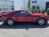 4 thumbnail image of  2014 Ford Mustang