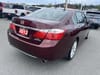 4 thumbnail image of  2013 Honda Accord Touring