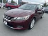 9 thumbnail image of  2013 Honda Accord Touring