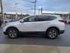 8 thumbnail image of  2019 Honda CR-V LX