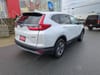 4 thumbnail image of  2019 Honda CR-V LX