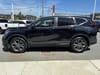 8 thumbnail image of  2020 Honda CR-V EX-L
