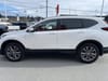 8 thumbnail image of  2022 Honda CR-V Sport