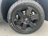 13 thumbnail image of  2022 Honda Pilot TrailSport