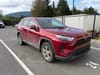 1 thumbnail image of  2023 Toyota RAV4 XLE