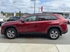 8 thumbnail image of  2023 Toyota RAV4 XLE
