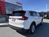 4 thumbnail image of  2024 Honda CR-V EX-L