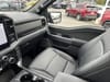 28 thumbnail image of  2025 Ford F-150 XLT