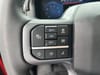 17 thumbnail image of  2025 Ford F-150 XLT