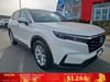 1 placeholder image of  2024 Honda CR-V EX-L